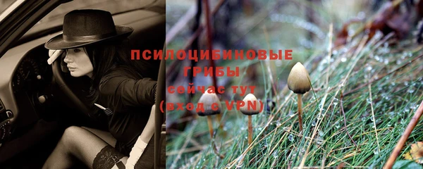 стафф Алексеевка