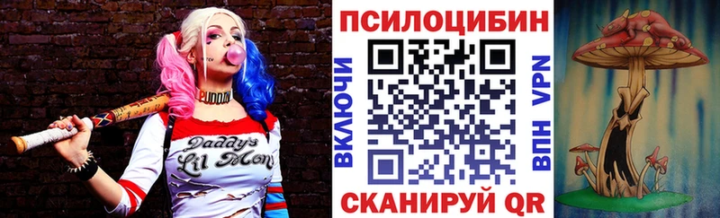 где купить наркоту  Собинка  OMG tor  Псилоцибиновые грибы MAGIC MUSHROOMS 